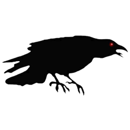 Thuisstudio: The Freedom Raven
